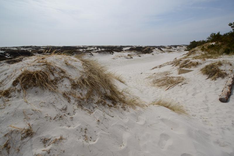  20130511_PB8_5790.JPG </br ><small> 2013-05-11 13:44</br >NIKON D800 + 14.0-24.0 mm f/2.8<br /> 14mm 1/800s f/7.1 ISO 100</small>