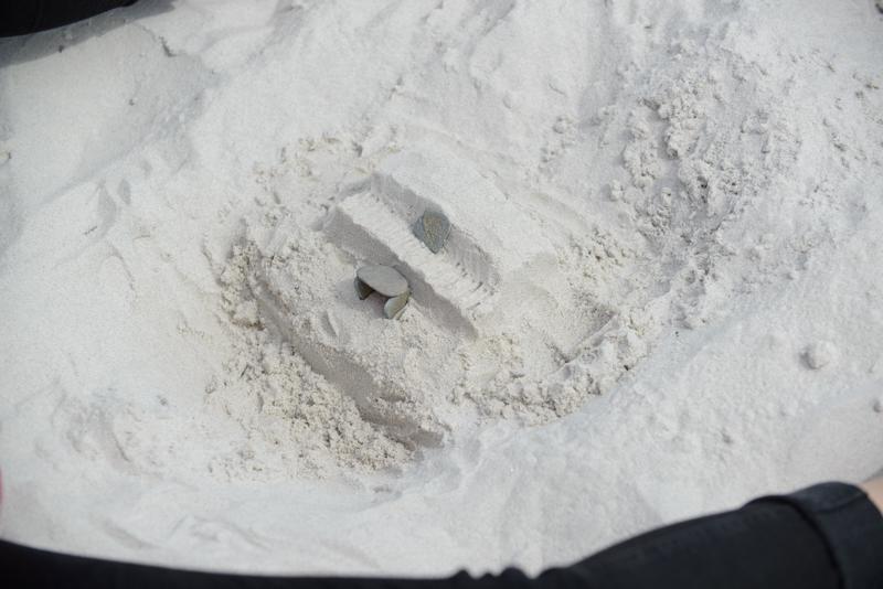  20130511_PB8_5844.JPG </br ><small> 2013-05-11 14:20</br >NIKON D800 + 70.0-200.0 mm f/2.8<br /> 105mm 1/1250s f/5.6 ISO 200</small>