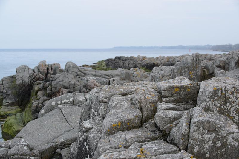  20130511_PB8_5904.JPG </br ><small> 2013-05-11 17:59</br >NIKON D800 + 70.0-200.0 mm f/2.8<br /> 70mm 1/250s f/8 ISO 200</small>