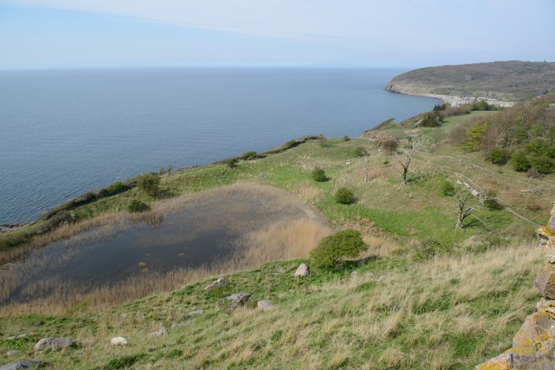  20130512_PB8_5915.JPG </br ><small> 2013-05-12 14:57</br >NIKON D800 + 24.0-70.0 mm f/2.8<br /> 24mm 1/640s f/7.1 ISO 200</small>