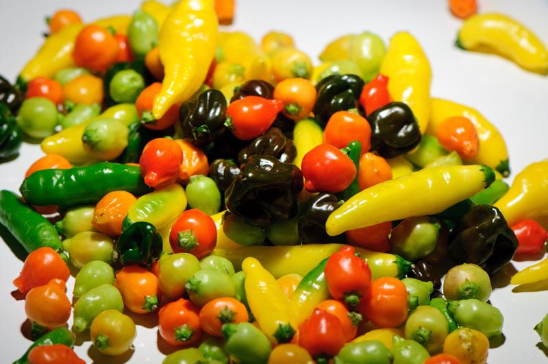  D3C_9320.jpg </br ><small></small>