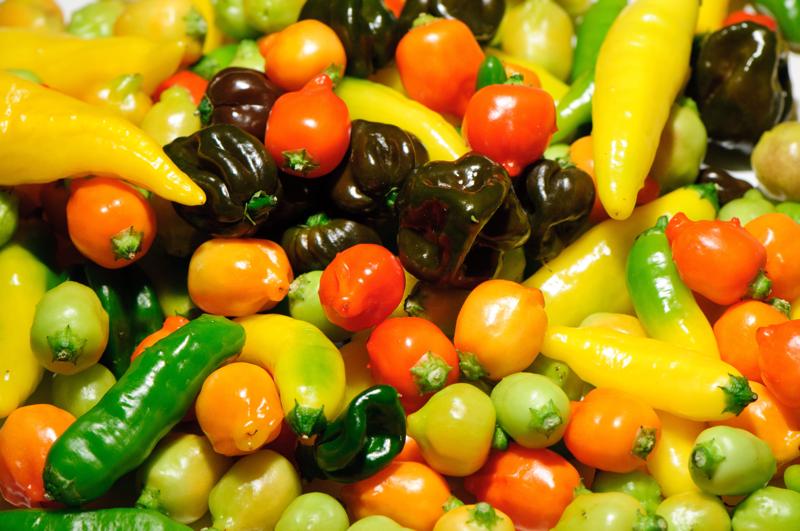  D3C_9333.jpg </br ><small></small>