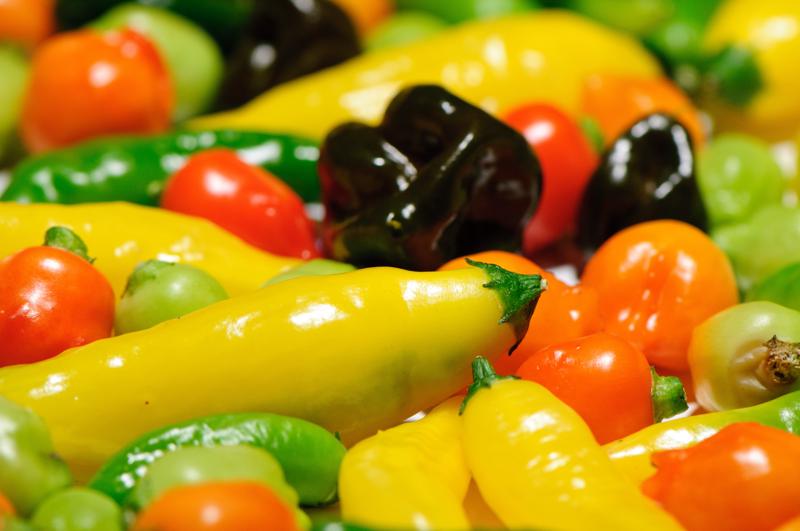  D3C_9337.jpg </br ><small></small>