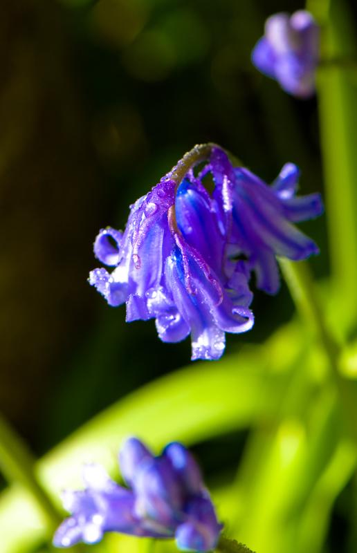  D2C_9421.jpg </br ><small> 2007-04-29 17:25</br >NIKON D200 105mm 1/160s f/8 ISO 200</small>