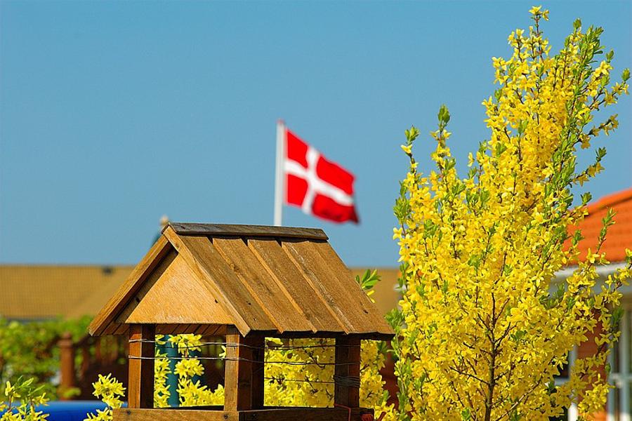 Forsommer 2006