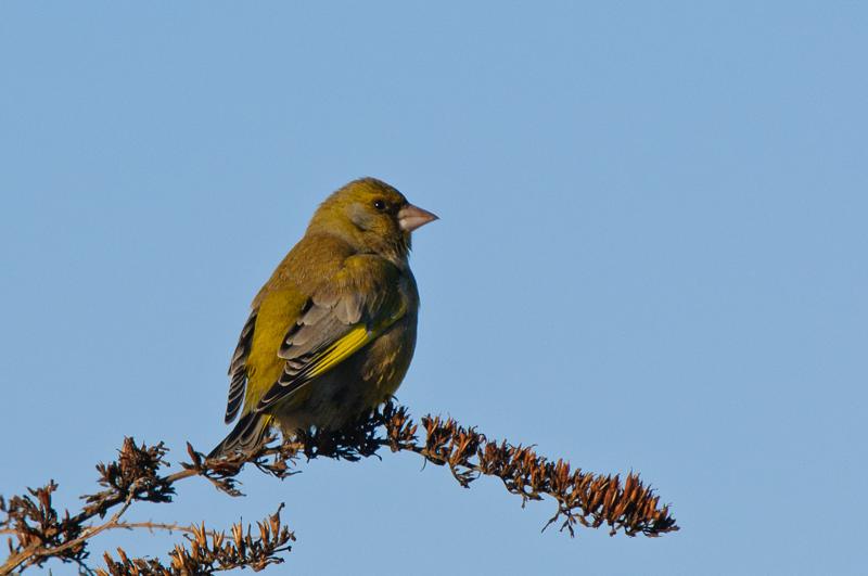  D3C_9772.JPG </br ><small></small>