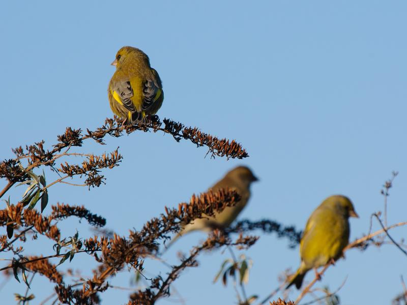  D3C_9777.JPG </br ><small></small>