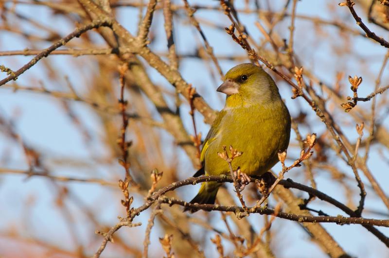  D3C_9790.JPG </br ><small></small>