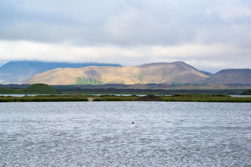  20160702-PB8_9131.JPG </br ><small> 2016-07-02 19:30</br >NIKON D800 + TAMRON SP AF 150-600mm F5-6.3 VC USD A011N<br /> 150mm 1/640s f/8 ISO 360</small>