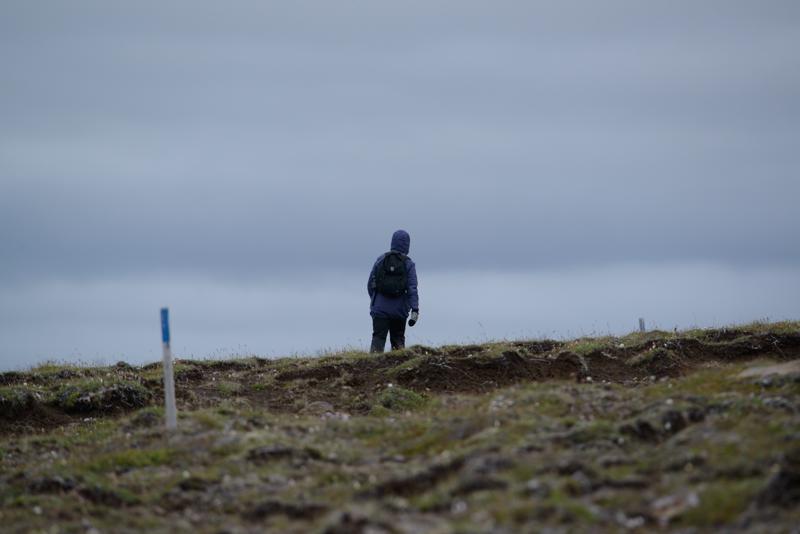  20160704-PB8_9654.JPG </br ><small> 2016-07-04 15:32</br >NIKON D800 + TAMRON SP AF 150-600mm F5-6.3 VC USD A011N<br /> 460mm 1/640s f/8 ISO 720</small>