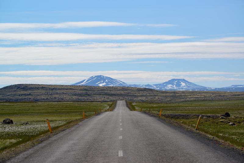  20160705-PB8_9757.JPG </br ><small> 2016-07-05 11:16</br >NIKON D800 + TAMRON SP AF 150-600mm F5-6.3 VC USD A011N<br /> 150mm 1/640s f/8 ISO 140</small>