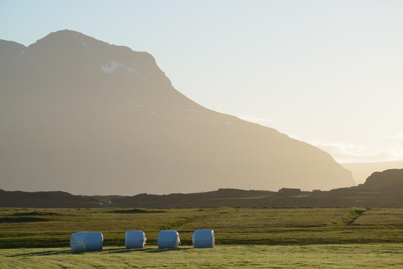  20160705-PB8_9849.JPG </br ><small> 2016-07-05 21:31</br >NIKON D800 + TAMRON SP AF 150-600mm F5-6.3 VC USD A011N<br /> 150mm 1/640s f/8 ISO 220</small>