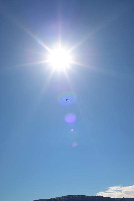  20160706-PB8_0038.JPG </br ><small> 2016-07-06 17:21</br >NIKON D800 + 50.0 mm f/1.4<br /> 50mm 1/640s f/8 ISO 100</small>