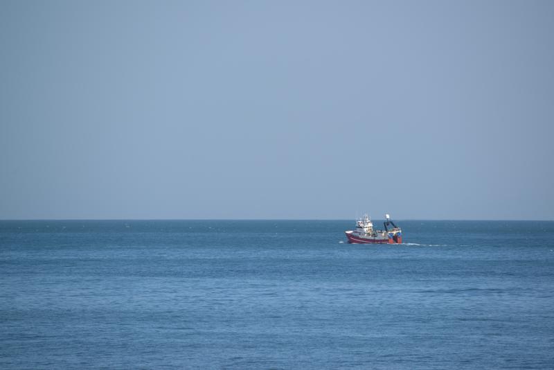  20160708-PB8_0654.JPG </br ><small> 2016-07-08 16:49</br >NIKON D800 + TAMRON SP AF 150-600mm F5-6.3 VC USD A011N<br /> 500mm 1/640s f/8 ISO 160</small>