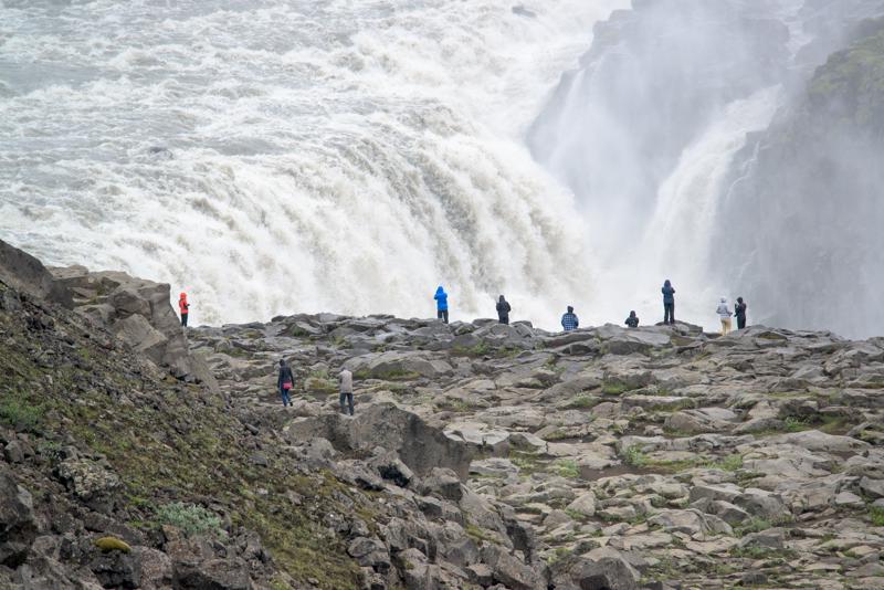  20160703-PB8_9352.JPG </br ><small> 2016-07-03 13:20</br >NIKON D800 + TAMRON SP AF 150-600mm F5-6.3 VC USD A011N<br /> 500mm 1/640s f/8 ISO 450</small>