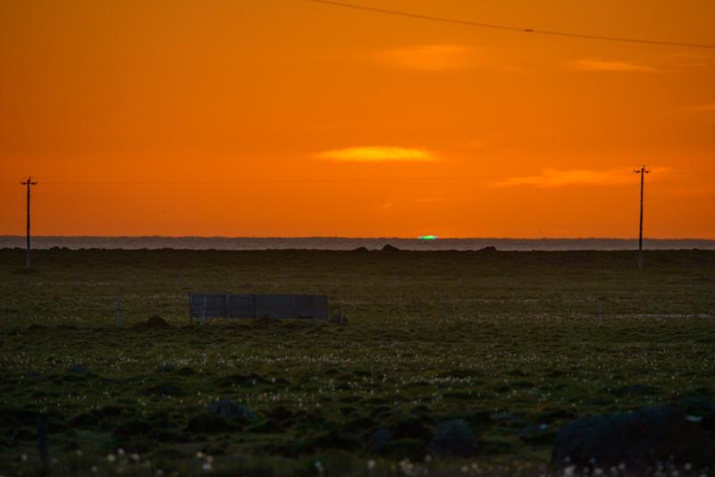  20160705-PB8_9734.JPG </br ><small> 2016-07-05 00:46</br >NIKON D800 + TAMRON SP AF 150-600mm F5-6.3 VC USD A011N<br /> 500mm 1/1000s f/8 ISO 400</small>