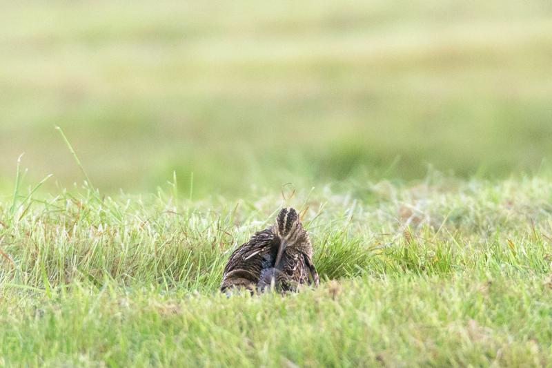  20160706-PB8_0061.jpg </br ><small></small>