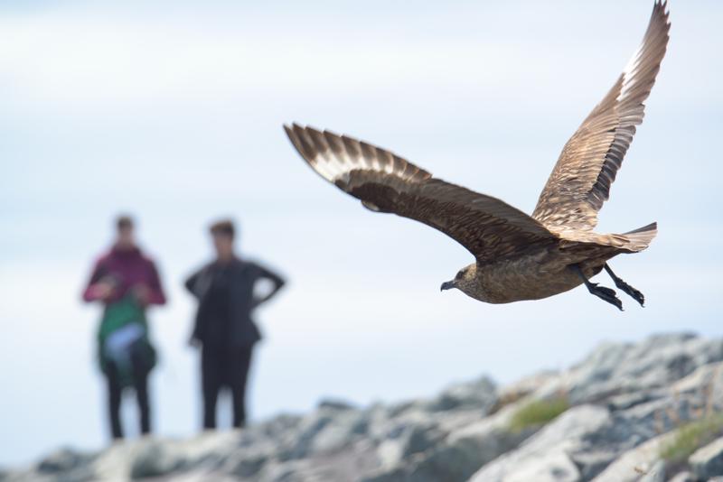  20160707-PB8_0367.JPG </br ><small> 2016-07-07 12:05</br >NIKON D800 + TAMRON SP AF 150-600mm F5-6.3 VC USD A011N<br /> 420mm 1/640s f/9 ISO 125</small>