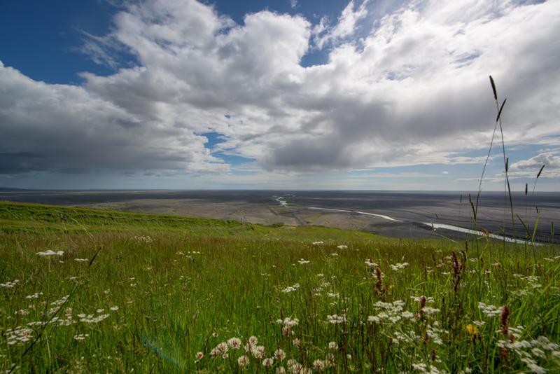  20160707-PB8_0432.JPG </br ><small> 2016-07-07 15:26</br >NIKON D800 + 14.0-24.0 mm f/2.8<br /> 14mm 1/320s f/11 ISO 110</small>