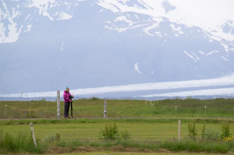  20160708-PB8_0467.JPG </br ><small> 2016-07-08 08:33</br >NIKON D800 + TAMRON SP AF 150-600mm F5-6.3 VC USD A011N<br /> 450mm 1/500s f/8 ISO 320</small>