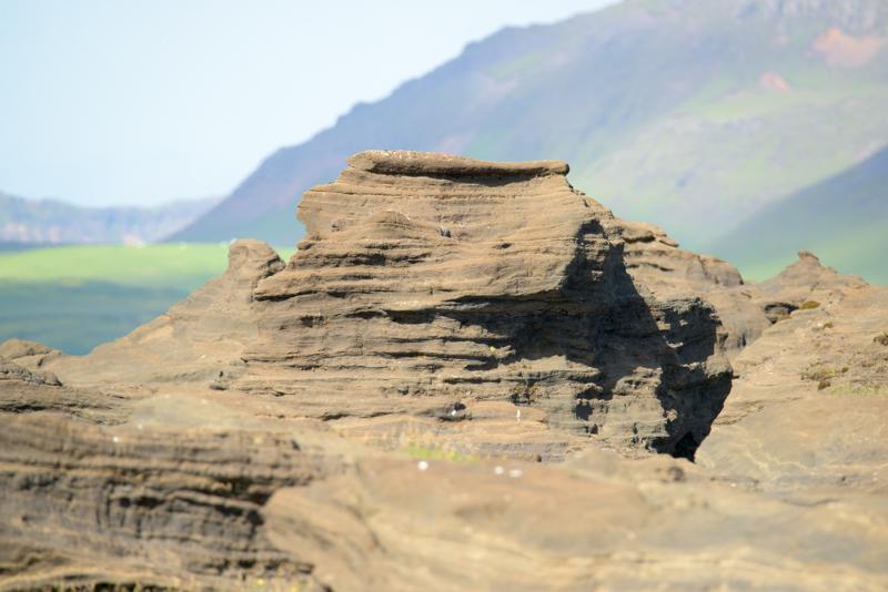  20160708-PB8_0659.JPG </br ><small> 2016-07-08 17:25</br >NIKON D800 + TAMRON SP AF 150-600mm F5-6.3 VC USD A011N<br /> 500mm 1/640s f/8 ISO 320</small>