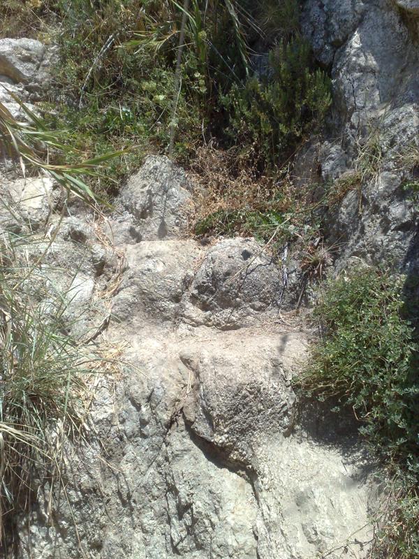  04072008360.jpg </br ><small> 2008-07-04 13:18</br >N95 5.6mm 1/320s f/2.8 ISO 100</small>