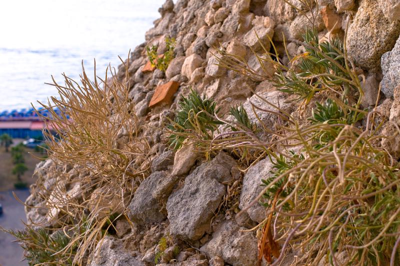  D3C_1765.jpg </br ><small> 2008-06-30 18:46</br >NIKON D300 35mm 1/200s f/5.6 ISO 100</small>