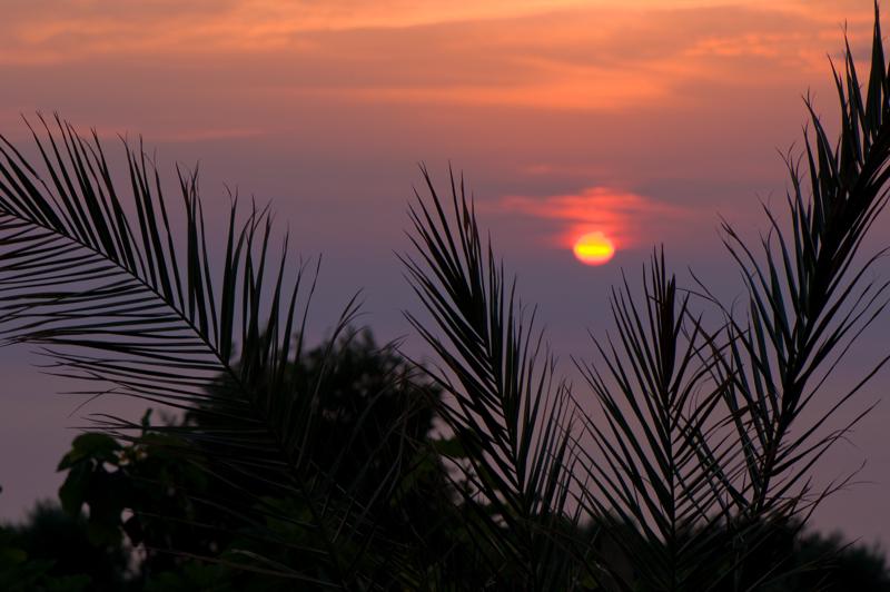  D3C_1797.jpg </br ><small> 2008-06-30 20:19</br >NIKON D300 105mm 1/50s f/8 ISO 200</small>