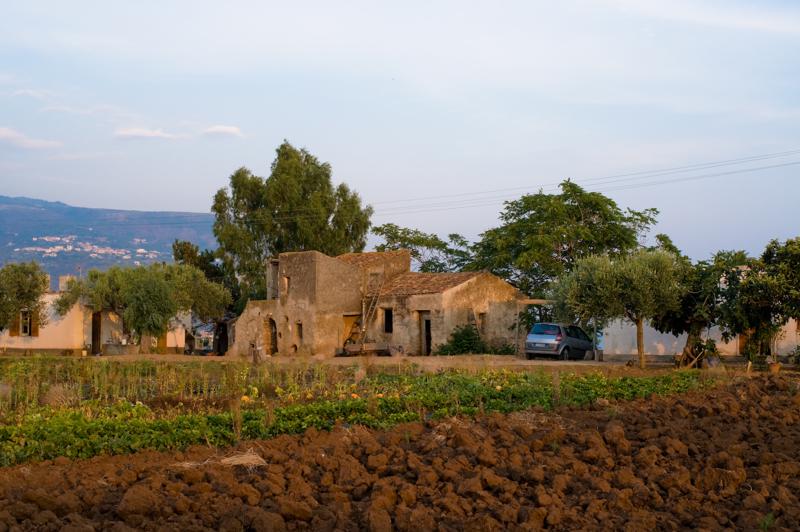  D3C_1880.jpg </br ><small> 2008-07-01 19:40</br >NIKON D300 35mm 1/200s f/5.6 ISO 200</small>