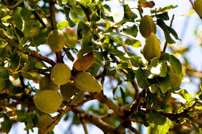  D3C_1937.jpg </br ><small> 2008-07-02 13:34</br >NIKON D300 105mm 1/250s f/8 ISO 200</small>