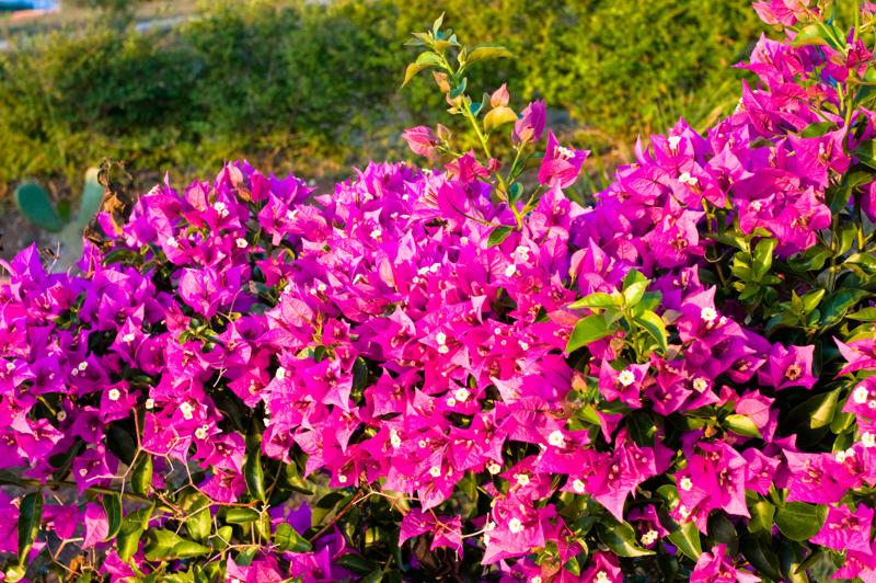  D3C_1979.jpg </br ><small> 2008-07-02 19:52</br >NIKON D300 35mm 1/50s f/8 ISO 200</small>