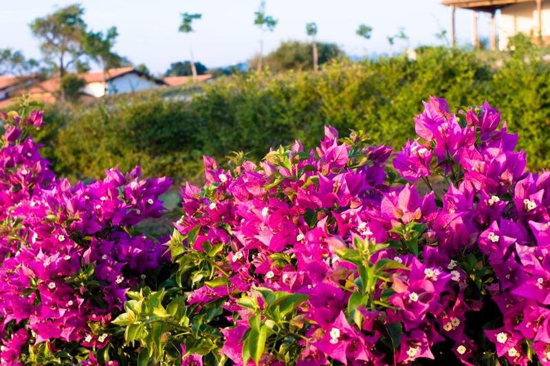  D3C_1980.jpg </br ><small> 2008-07-02 19:53</br >NIKON D300 35mm 1/60s f/8 ISO 200</small>