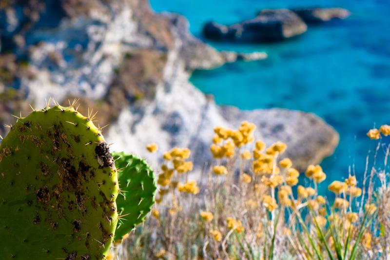  D3C_2066.jpg </br ><small> 2008-07-03 17:39</br >NIKON D300 105mm 1/250s f/10 ISO 200</small>