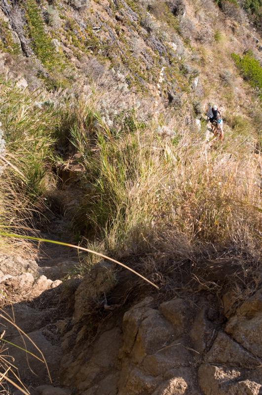  D3C_2072.jpg </br ><small> 2008-07-03 17:44</br >NIKON D300 35mm 1/80s f/8 ISO 100</small>