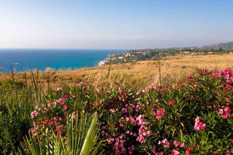  D3C_2087.jpg </br ><small> 2008-07-03 17:50</br >NIKON D300 24mm 1/160s f/8 ISO 100</small>