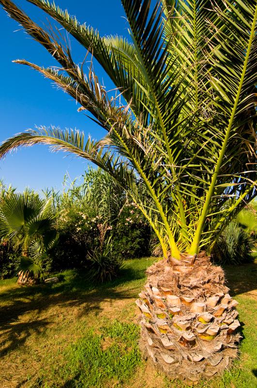  D3C_2088.jpg </br ><small> 2008-07-03 17:51</br >NIKON D300 12mm 1/160s f/8 ISO 100</small>