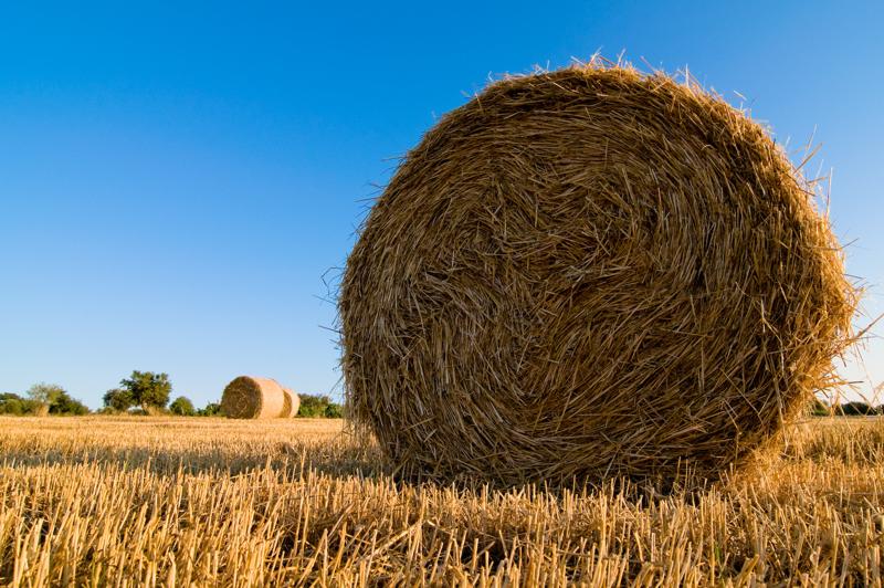  D3C_2112.jpg </br ><small> 2008-07-03 19:44</br >NIKON D300 12mm 1/160s f/8 ISO 200</small>