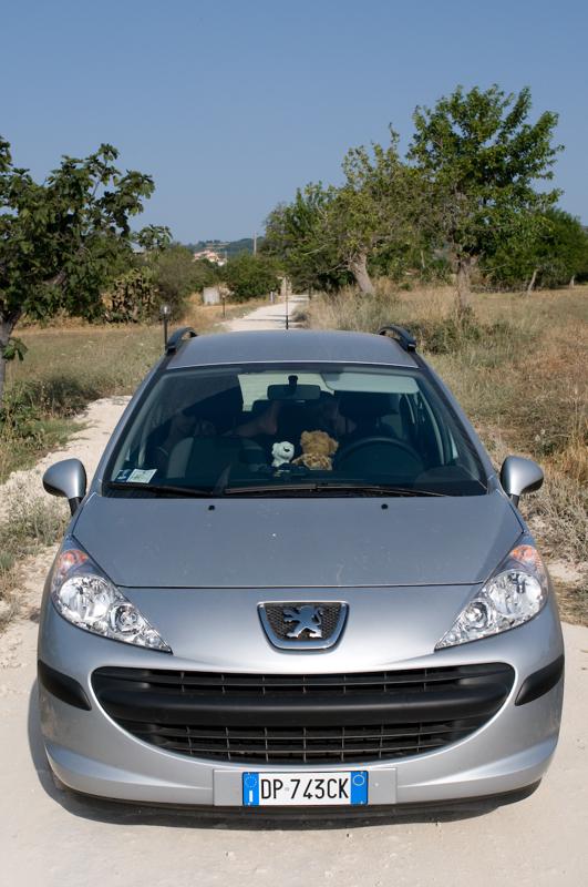  D3C_2268.jpg </br ><small> 2008-07-04 18:02</br >NIKON D300 35mm 1/800s f/8 ISO 200</small>