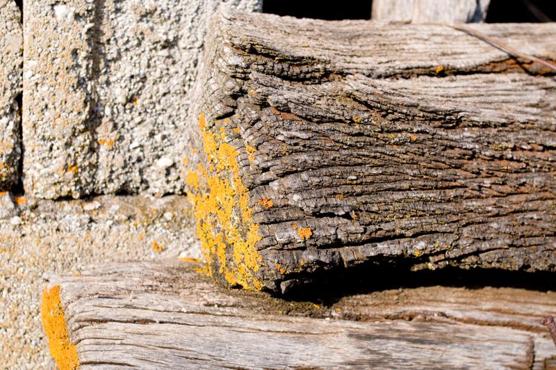  D3C_2280.jpg </br ><small> 2008-07-04 18:13</br >NIKON D300 35mm 1/500s f/5.6 ISO 200</small>