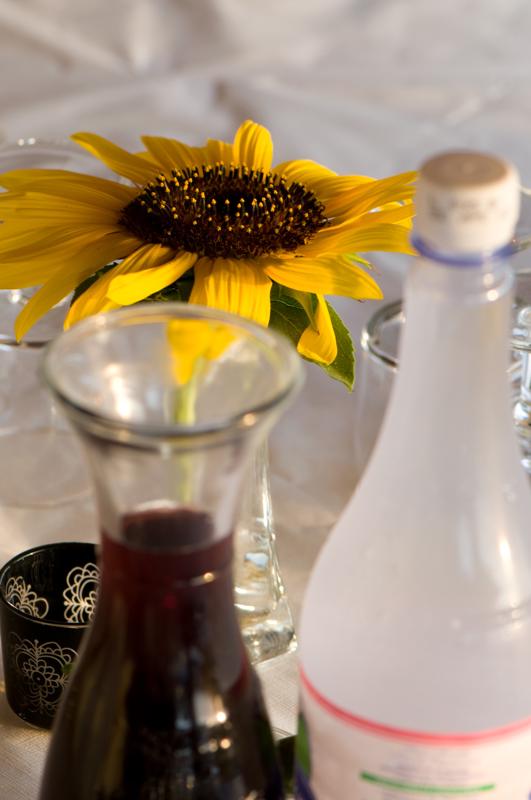  D3C_2318.jpg </br ><small> 2008-07-04 19:58</br >NIKON D300 105mm 1/40s f/5.6 ISO 200</small>