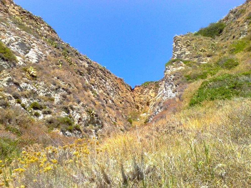  04072008375.jpg </br ><small> 2008-07-04 14:50</br >N95 5.6mm 1/160s f/2.8 ISO 100</small>