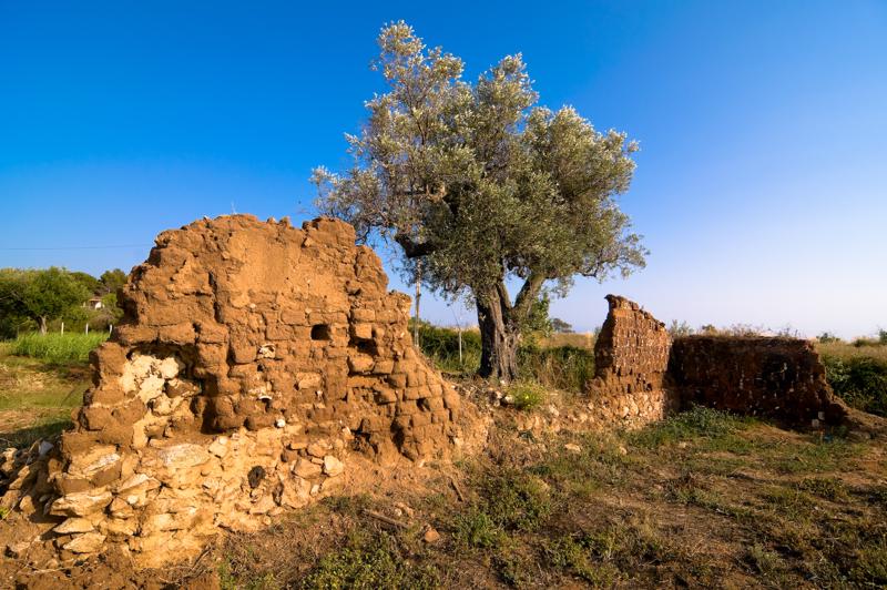  D3C_1715.jpg </br ><small> 2008-06-29 18:09</br >NIKON D300 12mm 1/250s f/8 ISO 100</small>