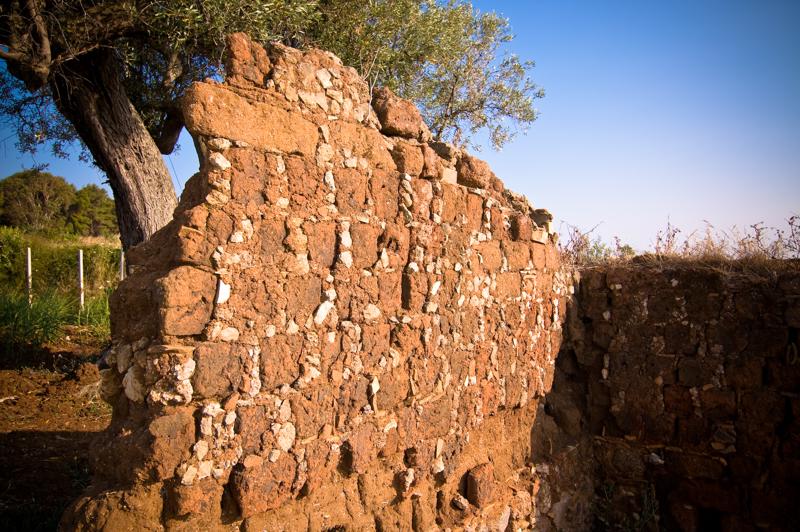  D3C_1716.jpg </br ><small> 2008-06-29 18:10</br >NIKON D300 17mm 1/125s f/8 ISO 100</small>