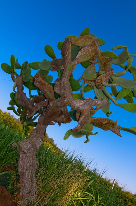  D3C_1723.jpg </br ><small> 2008-06-29 18:14</br >NIKON D300 17mm 1/250s f/8 ISO 100</small>