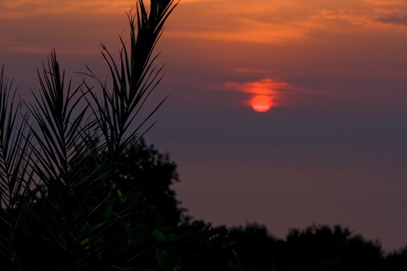  D3C_1796.jpg </br ><small> 2008-06-30 20:19</br >NIKON D300 105mm 1/250s f/8 ISO 200</small>