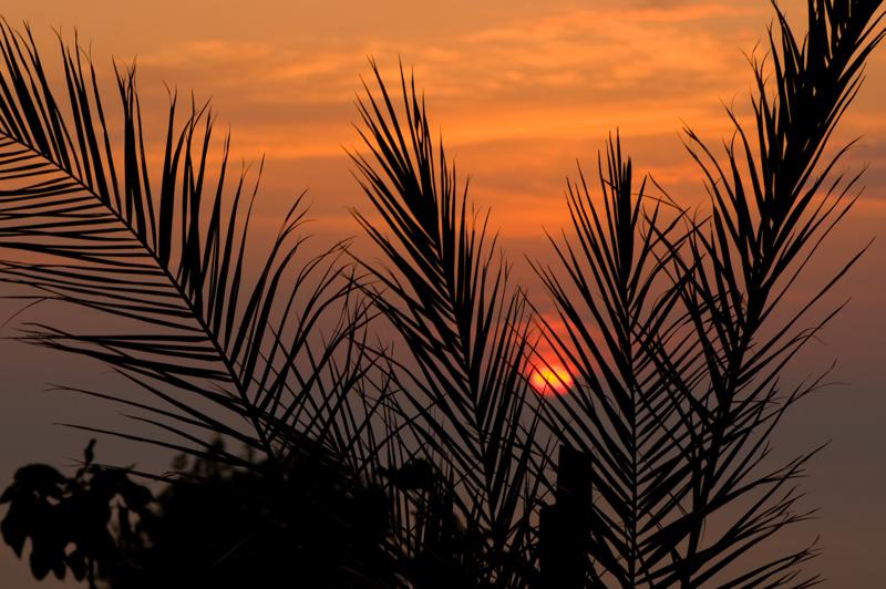  D3C_1798.jpg </br ><small> 2008-06-30 20:20</br >NIKON D300 105mm 1/80s f/8 ISO 200</small>