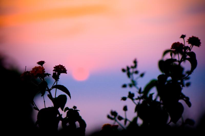  D3C_1801.jpg </br ><small> 2008-06-30 20:22</br >NIKON D300 105mm 1/320s f/4 ISO 400</small>