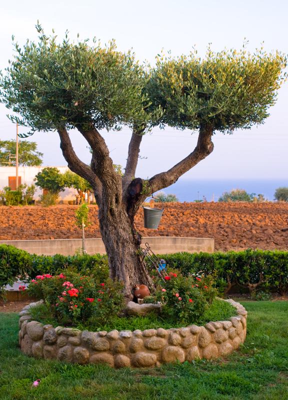  D3C_1878.jpg </br ><small> 2008-07-01 19:35</br >NIKON D300 35mm 1/80s f/5.6 ISO 200</small>