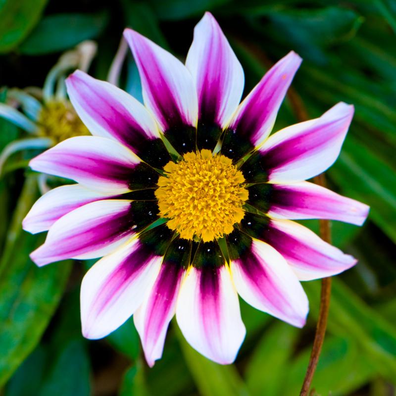  D3C_1932.jpg </br ><small> 2008-07-02 13:28</br >NIKON D300 105mm 1/160s f/8 ISO 200</small>