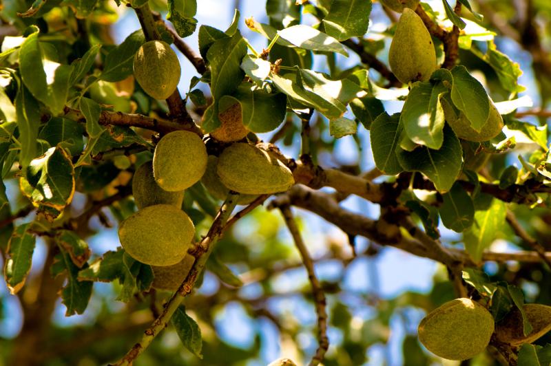  D3C_1936.jpg </br ><small> 2008-07-02 13:33</br >NIKON D300 105mm 1/250s f/8 ISO 200</small>